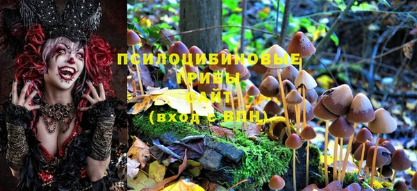 тгк Аркадак