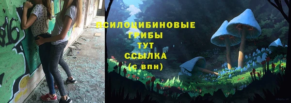 экстази Арсеньев