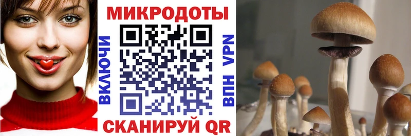 это Telegram  mega   Суровикино  Галлюциногенные грибы мухоморы 